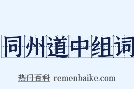 同州道中组词是什么意思的图片